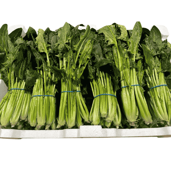 SPINACH CORK x12 BUNCHES BOX